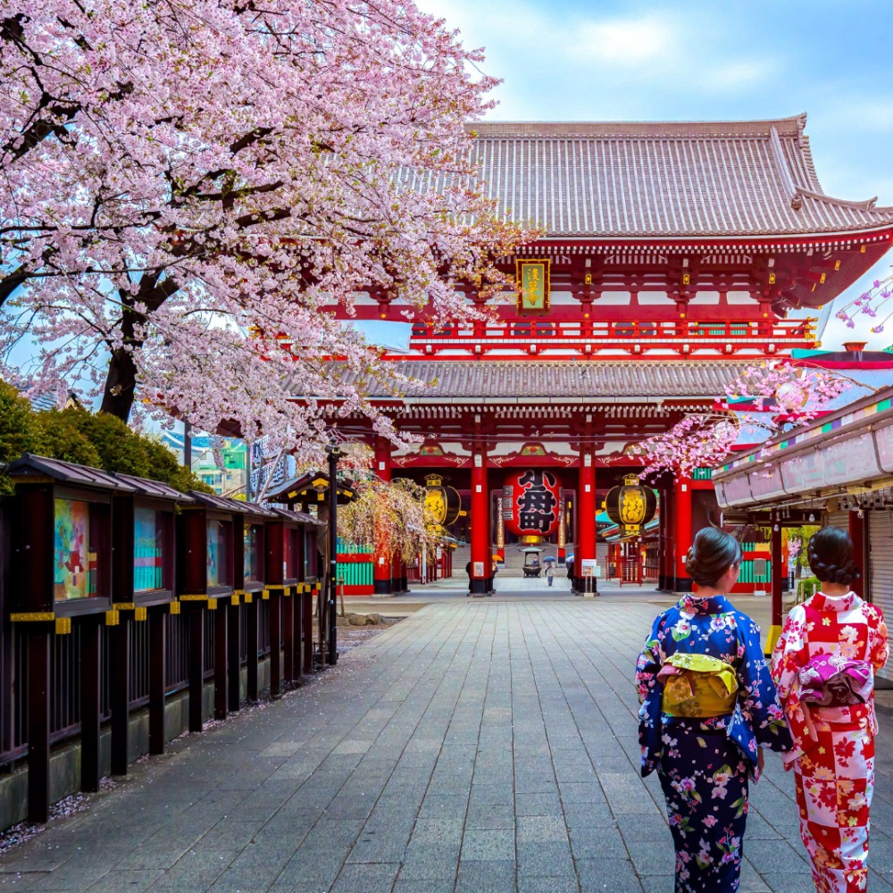 Paket Tour Jepang Sakura Golden Route