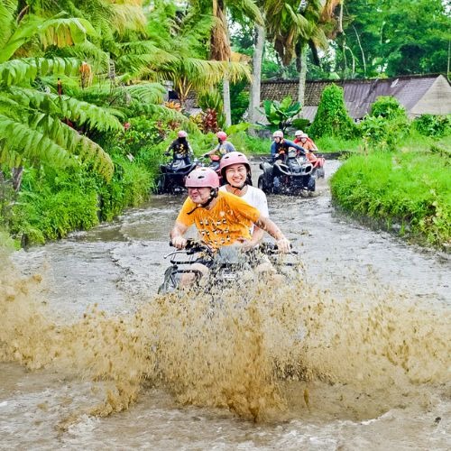 At Adventure Ride Vehicle ATV Ride Adventure
