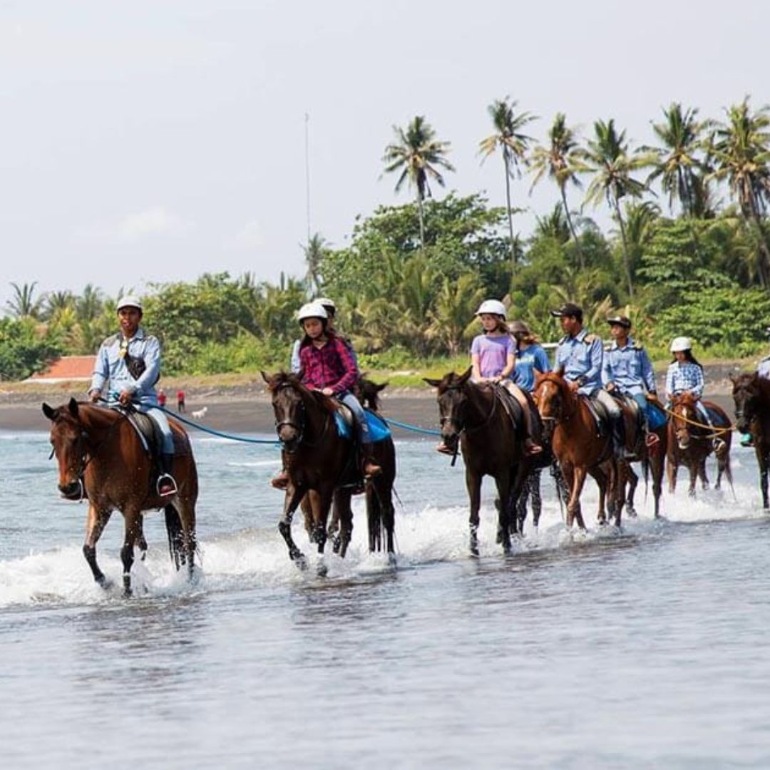 Horse Riding Ubud Tour