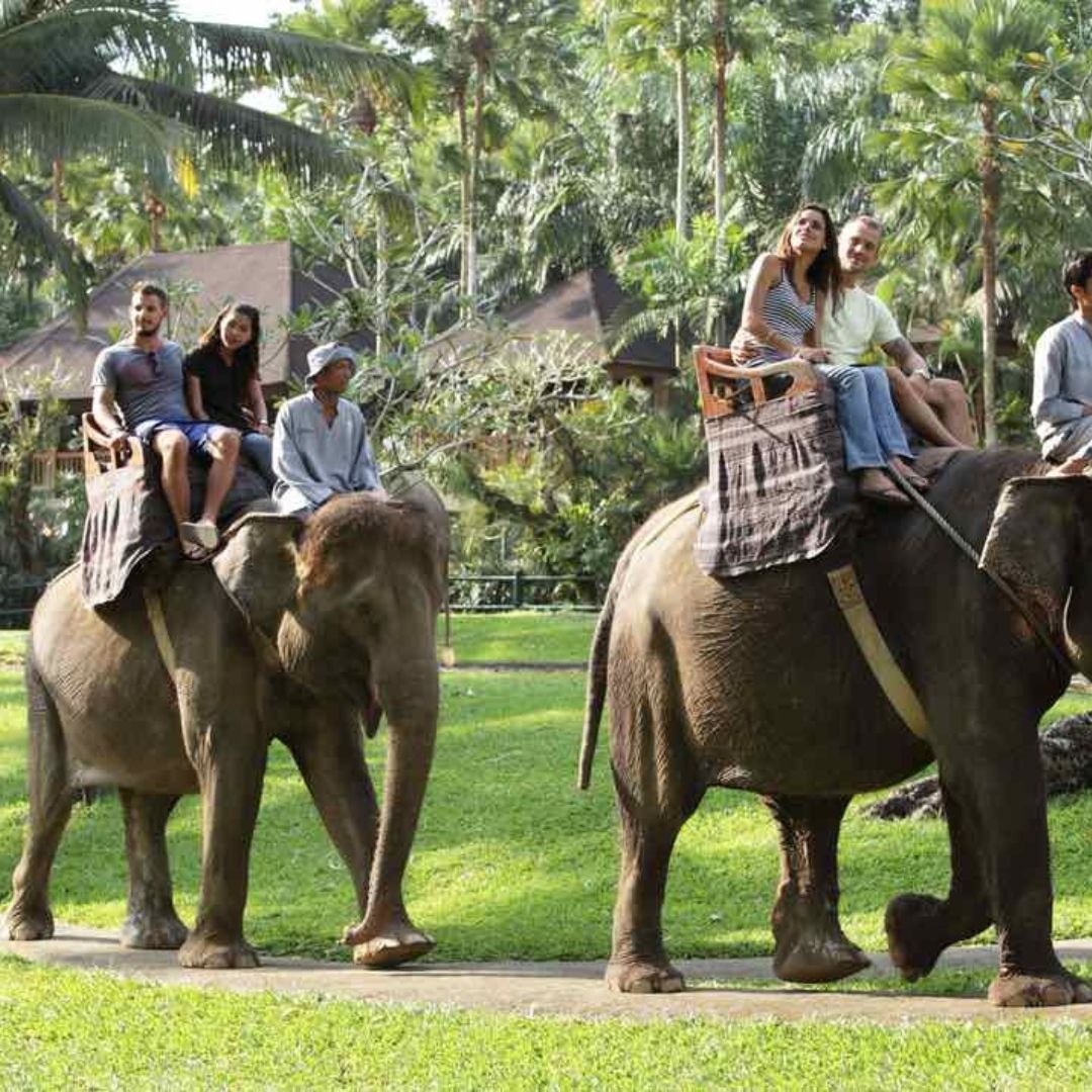 elephant-ride-ubud-tour