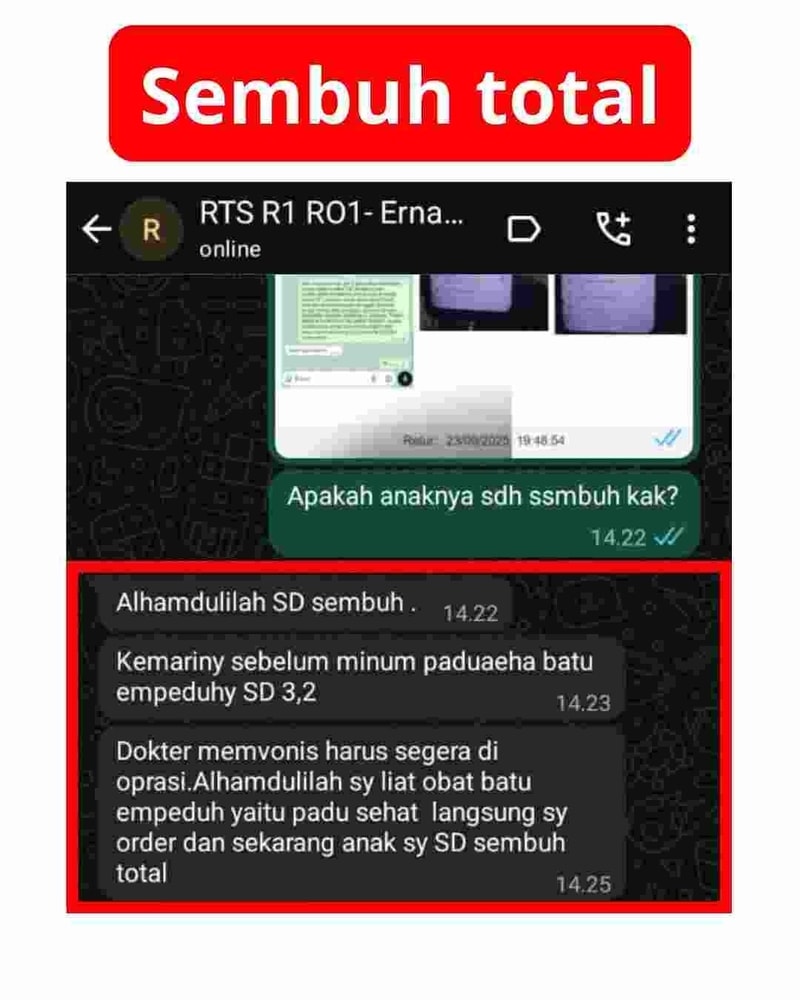 testimoni paduseha - erna